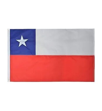 Bandera Chilena 140x210 Cm...